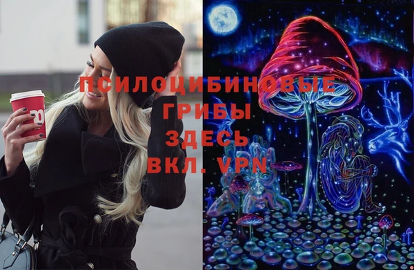 винт Мегион