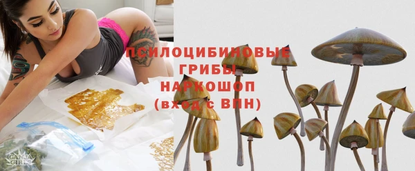винт Мегион