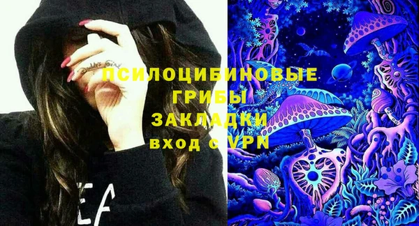 винт Мегион