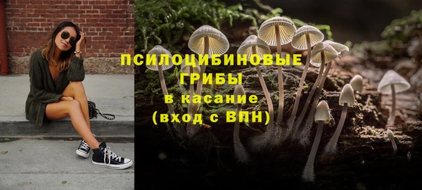 ALPHA-PVP Медногорск