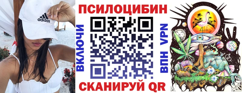 Купить  Вышний Волочёк  Псилоцибиновые грибы Psilocybine cubensis 